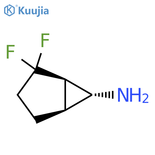 rac-(1R,5S,6R)-2,2-difluorobicyclo[3.1.0]hexan-6-amine structure