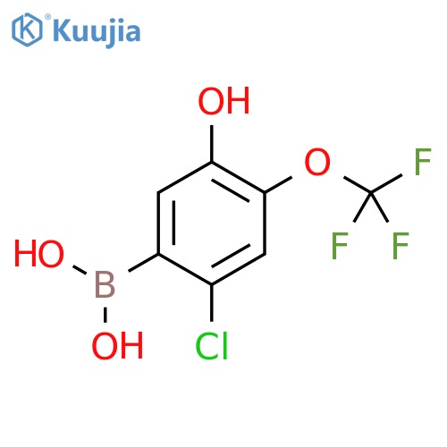 [2-Chloro-5-hydroxy-4-(trifluoromethoxy)phenyl]boronic acid structure