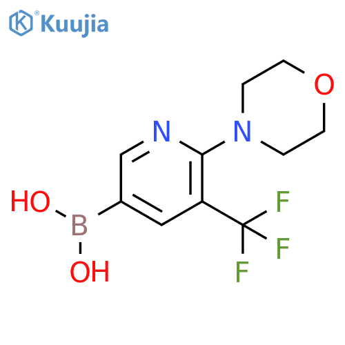 2-Morpholino-3-(trifluoromethyl)pyridine-5-boronic acid structure