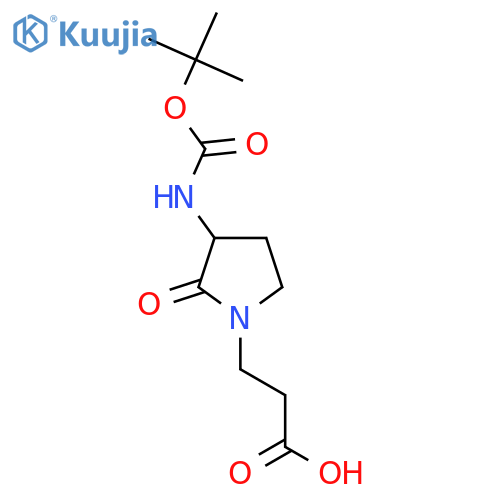3-(3-{(tert-butoxy)carbonylamino}-2-oxopyrrolidin-1-yl)propanoic acid structure