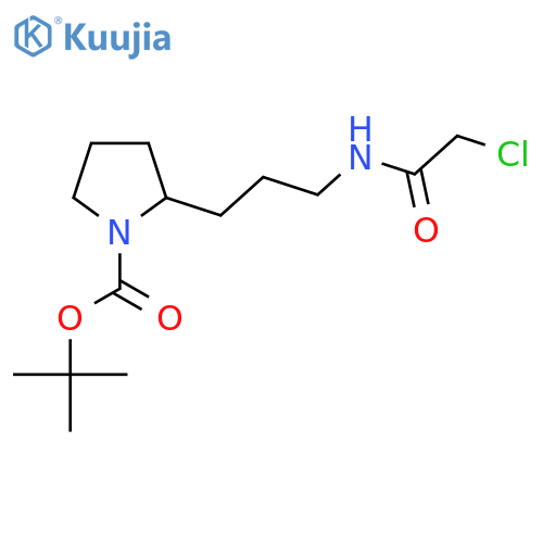 tert-butyl 2-3-(2-chloroacetamido)propylpyrrolidine-1-carboxylate structure