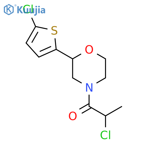 2-Chloro-1-[2-(5-chlorothiophen-2-yl)morpholin-4-yl]propan-1-one structure