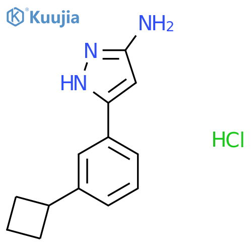 5-(3-cyclobutylphenyl)-1H-pyrazol-3-amine hydrochloride structure