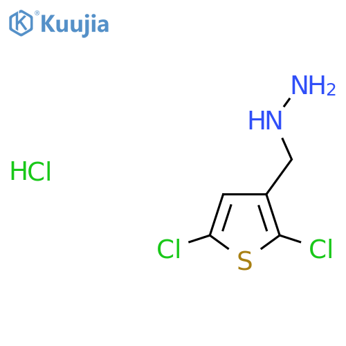 (2,5-Dichlorothiophen-3-yl)methylhydrazine;hydrochloride structure