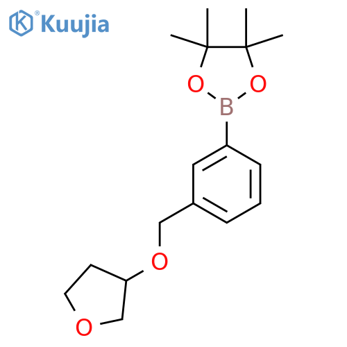 4,4,5,5-tetramethyl-2-{3-(oxolan-3-yloxy)methylphenyl}-1,3,2-dioxaborolane structure