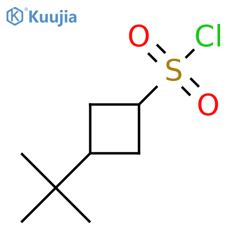 3-Tert-butylcyclobutane-1-sulfonyl chloride structure
