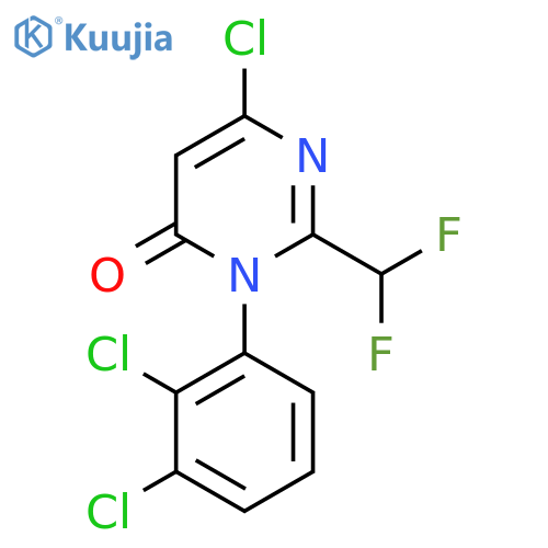 6-Chloro-3-(2,3-dichlorophenyl)-2-(difluoromethyl)pyrimidin-4-one structure