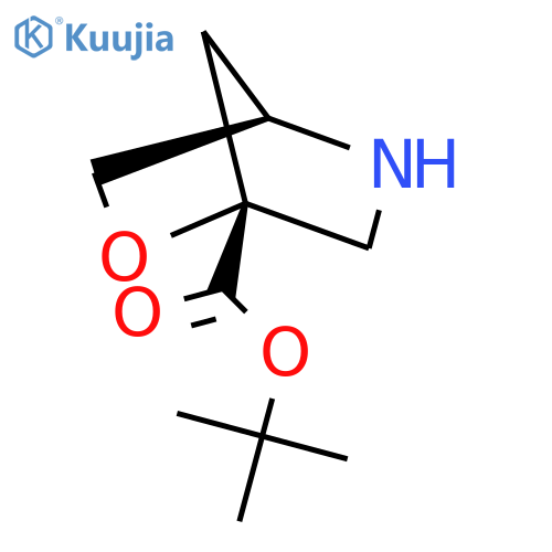 tert-butyl (1R,4R)-2-oxa-5-azabicyclo2.2.1heptane-1-carboxylate structure