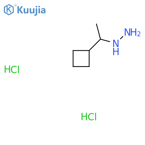 (1-cyclobutylethyl)hydrazine dihydrochloride structure