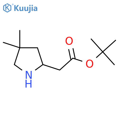 Tert-butyl 2-(4,4-dimethylpyrrolidin-2-yl)acetate structure