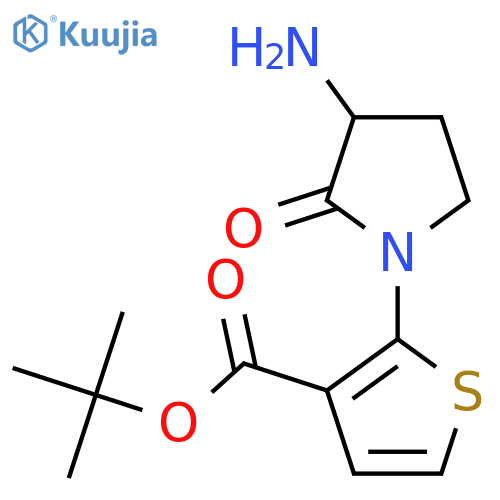 Tert-butyl 2-(3-amino-2-oxopyrrolidin-1-yl)thiophene-3-carboxylate structure