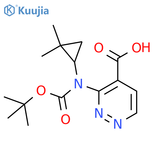 3-{(tert-butoxy)carbonyl(2,2-dimethylcyclopropyl)amino}pyridazine-4-carboxylic acid structure