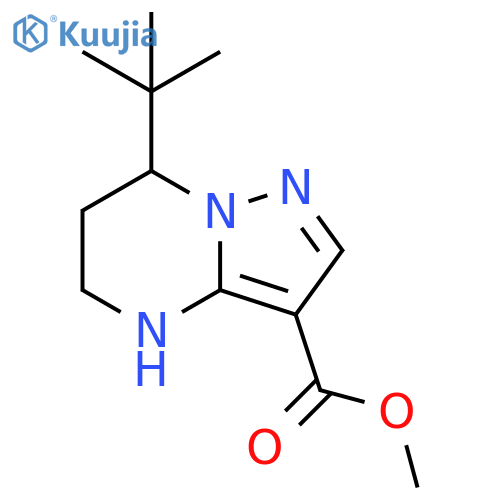 methyl 7-tert-butyl-4H,5H,6H,7H-pyrazolo1,5-apyrimidine-3-carboxylate structure