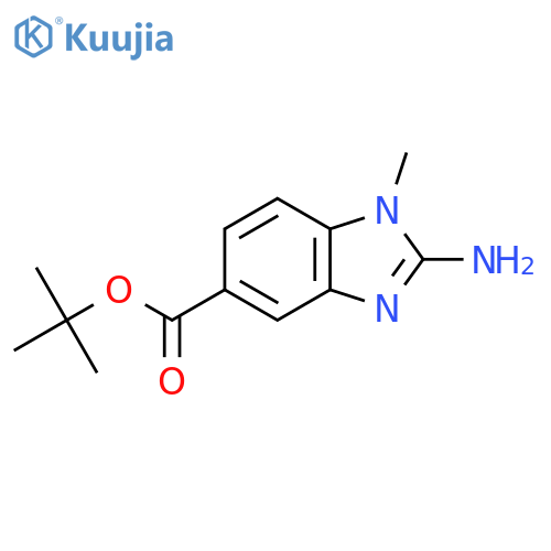 tert-butyl 2-amino-1-methyl-1H-1,3-benzodiazole-5-carboxylate structure