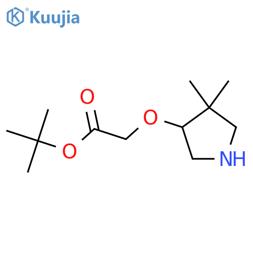 tert-butyl 2-(4,4-dimethylpyrrolidin-3-yl)oxyacetate structure