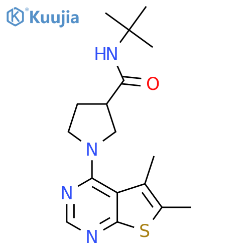 N-tert-butyl-1-{5,6-dimethylthieno[2,3-d]pyrimidin-4-yl}pyrrolidine-3-carboxamide structure