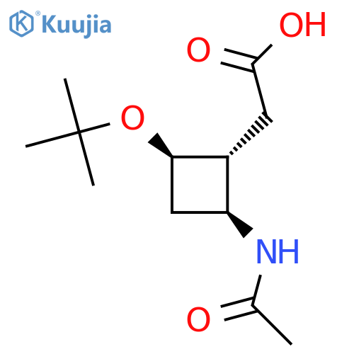 2-(1R,2R,4S)-2-(tert-butoxy)-4-acetamidocyclobutylacetic acid structure