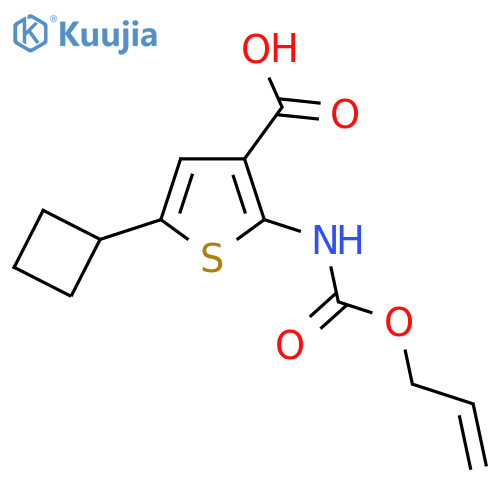 5-Cyclobutyl-2-{[(prop-2-en-1-yloxy)carbonyl]amino}thiophene-3-carboxylic acid structure