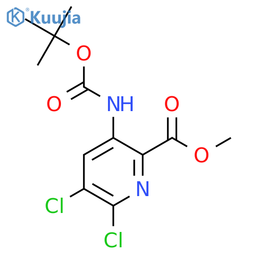 methyl 3-{(tert-butoxy)carbonylamino}-5,6-dichloropyridine-2-carboxylate structure