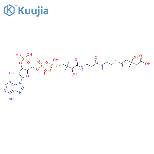 Coenzyme A, S-[hydrogen (3S)-3-hydroxy-3-methylpentanedioate] structure