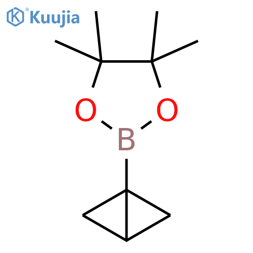 2-{bicyclo1.1.0butan-1-yl}-4,4,5,5-tetramethyl-1,3,2-dioxaborolane structure