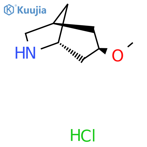 rac-(1R,3S,5S)-3-methoxy-6-azabicyclo[3.2.1]octane hydrochloride structure