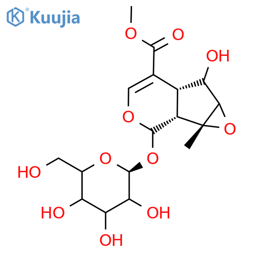 Phlorigidoside C structure