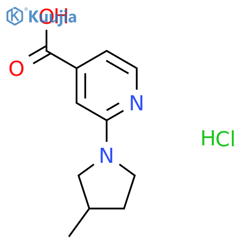 2-(3-Methylpyrrolidin-1-yl)pyridine-4-carboxylic acid hydrochloride structure