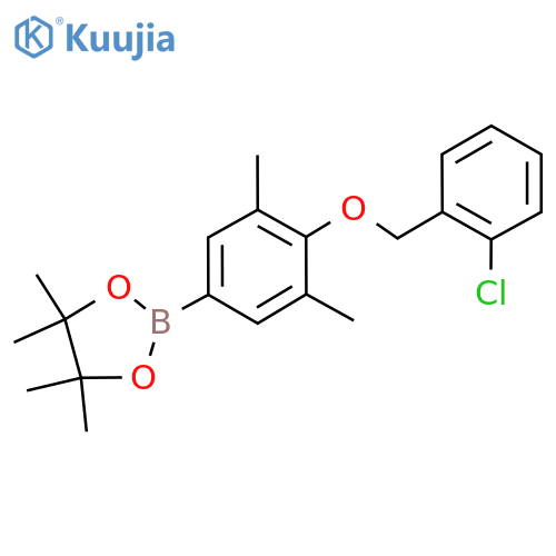 2-(4-((2-Chlorobenzyl)oxy)-3,5-dimethylphenyl)-4,4,5,5-tetramethyl-1,3,2-dioxaborolane structure