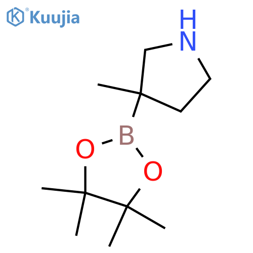 3-methyl-3-(4,4,5,5-tetramethyl-1,3,2-dioxaborolan-2-yl)pyrrolidine structure