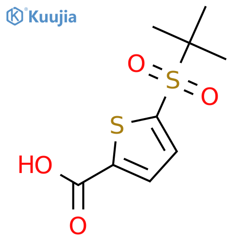 5-(2-Methyl-propane-2-sulfonyl)-thiophene-2-carboxylic acid structure