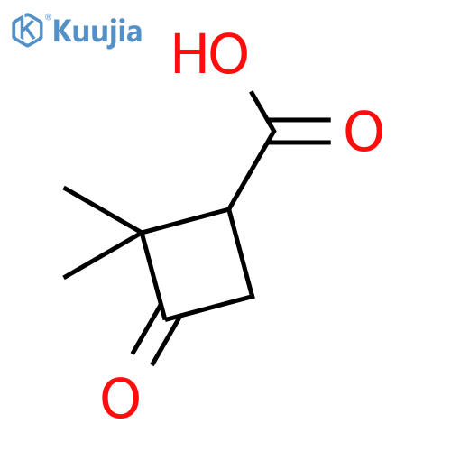 2,2-dimethyl-3-oxocyclobutane-1-carboxylic acid structure