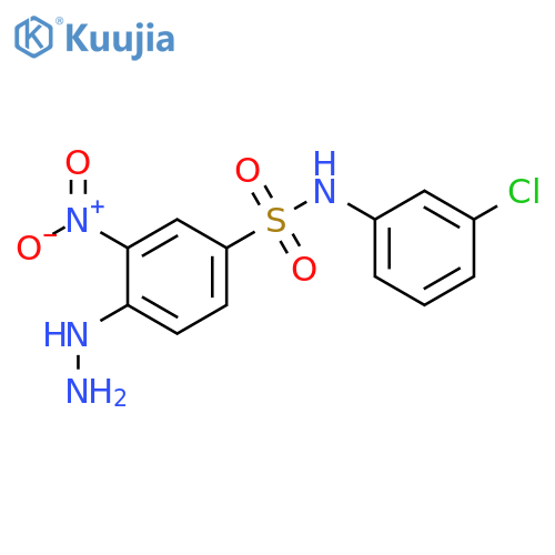 N-(3-chlorophenyl)-4-hydrazinyl-3-nitrobenzene-1-sulfonamide structure