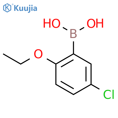 5-Chloro-2-ethoxyphenylboronic acid structure