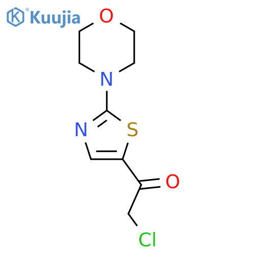2-chloro-1-2-(morpholin-4-yl)-1,3-thiazol-5-ylethan-1-one structure