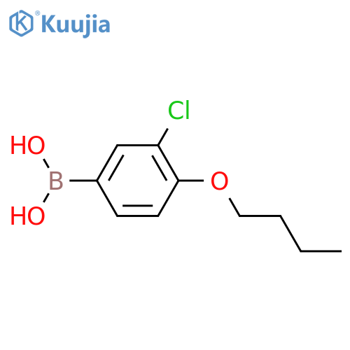 (4-butoxy-3-chlorophenyl)boronic acid structure