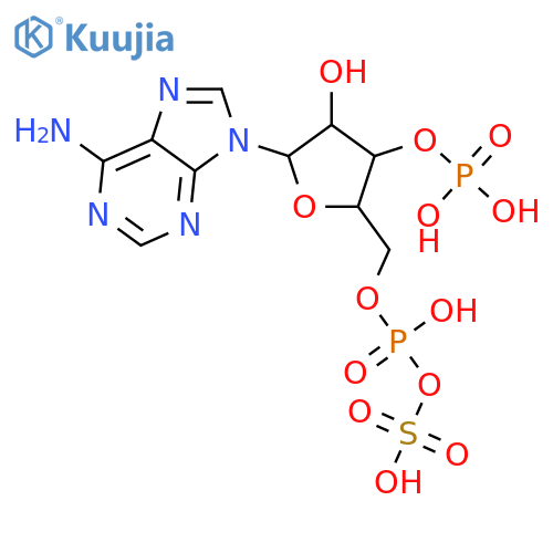 3'-Adenylic acid,5'-(dihydrogen phosphate), 5'-anhydride with sulfuric acid structure