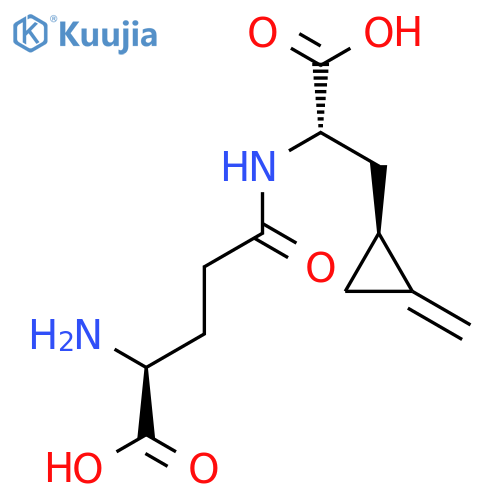 Hypoglycine B structure