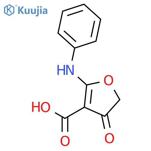 4-oxo-2-(phenylamino)-4,5-dihydrofuran-3-carboxylic Acid structure