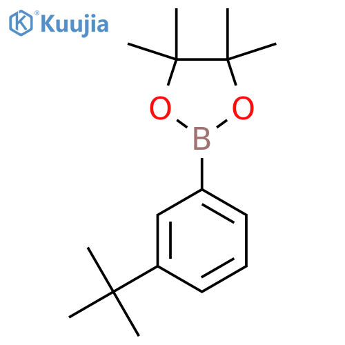 2-(3-Tert-butylphenyl)-4,4,5,5-tetramethyl-1,3,2-dioxaborolane structure