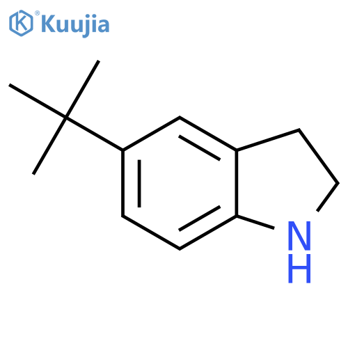 5-tert-butyl-2,3-dihydro-1H-indole structure