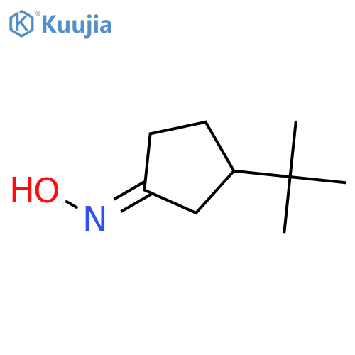 N-(3-tert-butylcyclopentylidene)hydroxylamine structure