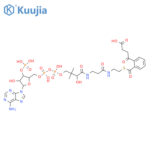 Coenzyme A, S-[2-(3-carboxy-1-oxopropyl)benzoate] structure