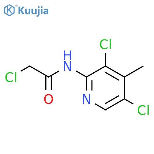 2-Chloro-N-(3,5-Dichloro-4-Methylpyridin-2-Yl)Acetamide structure