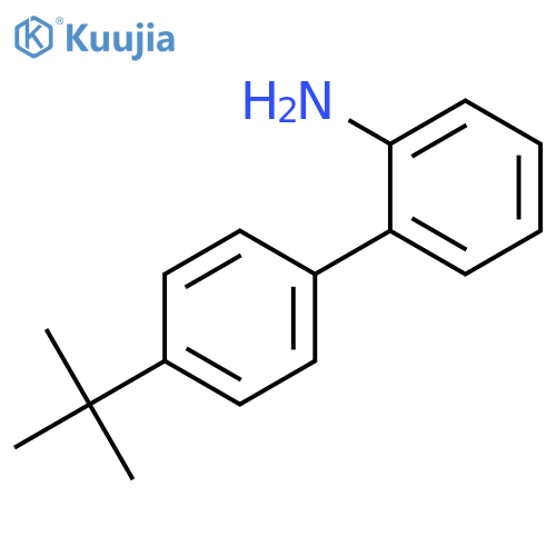 [1,1'-BIPHENYL]-2-AMINE, 4'-(1,1-DIMETHYLETHYL)- structure