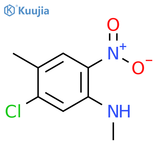 BENZENAMINE, 5-CHLORO-N,4-DIMETHYL-2-NITRO- structure