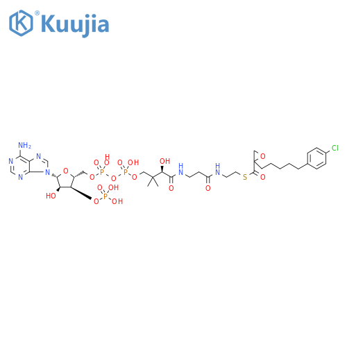 Coenzyme A, S-[2-[5-(4-chlorophenyl)pentyl]oxiranecarboxylate] (9CI) structure