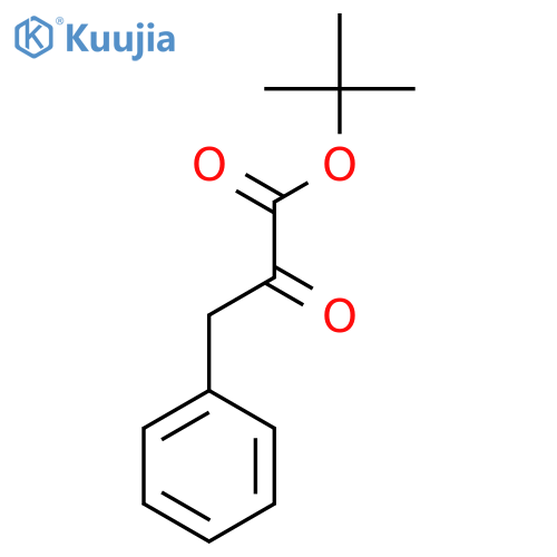 Tert-butyl 2-oxo-3-phenylpropanoate structure