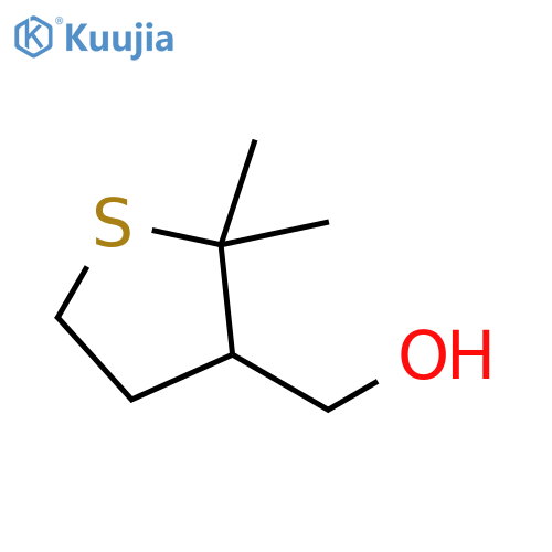 (2,2-dimethylthiolan-3-yl)methanol structure