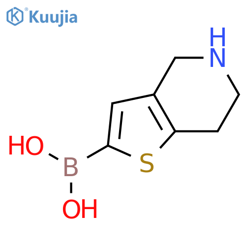 4,5,6,7-TETRAHYDROTHIENO[3,2-C]PYRIDIN-2-YL BORONIC ACID structure